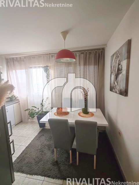 SAVICA 2S, 50M2-OBNOVLJEN-BEZ PROVIZIJE ZA KUPCE!